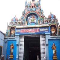picture6